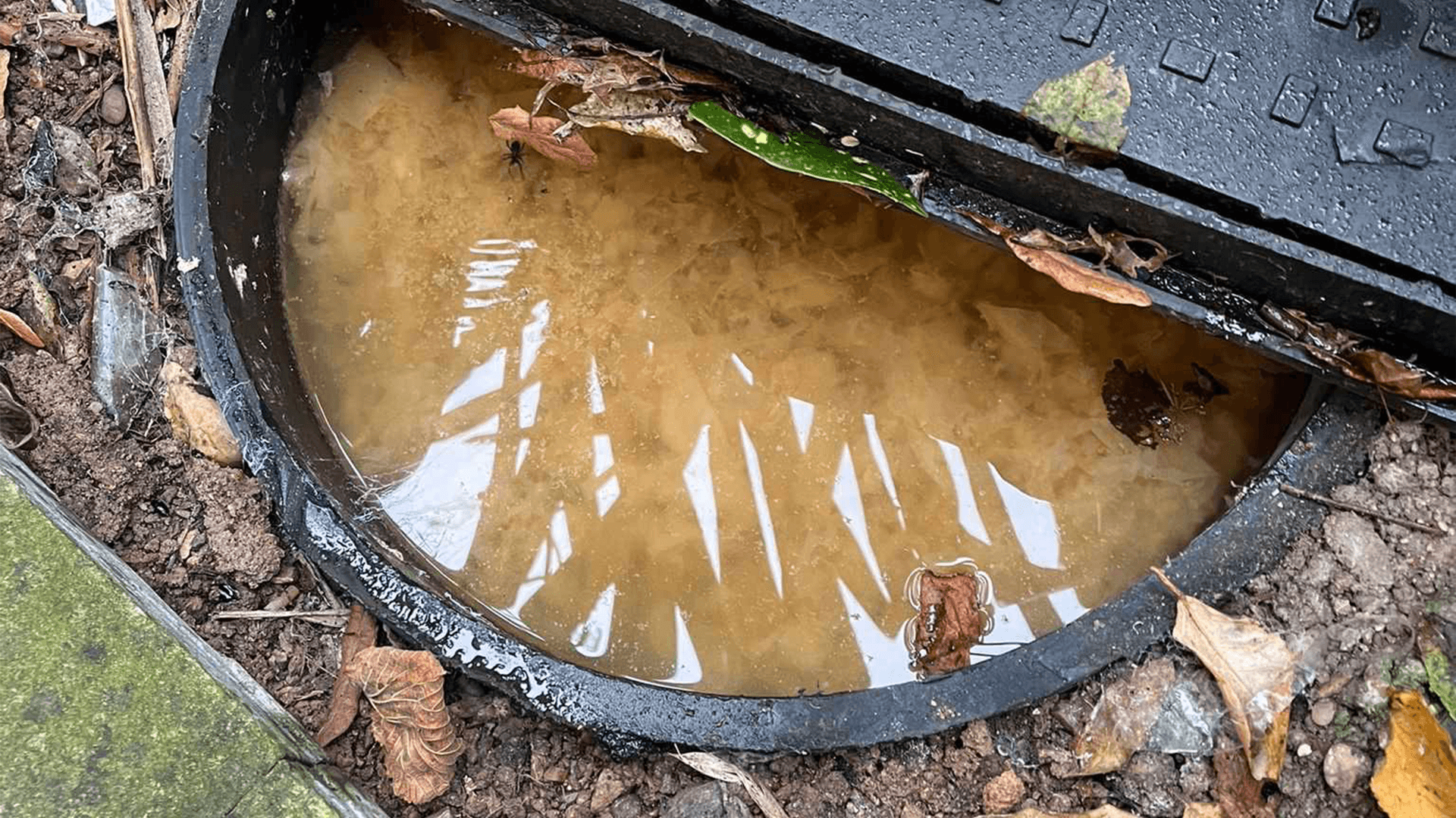 A photo of drainage issues in found in drainage systems