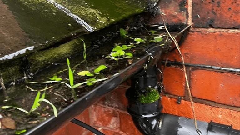 A photo of a gutter cleaning service provided by Budget Drains Nottingham