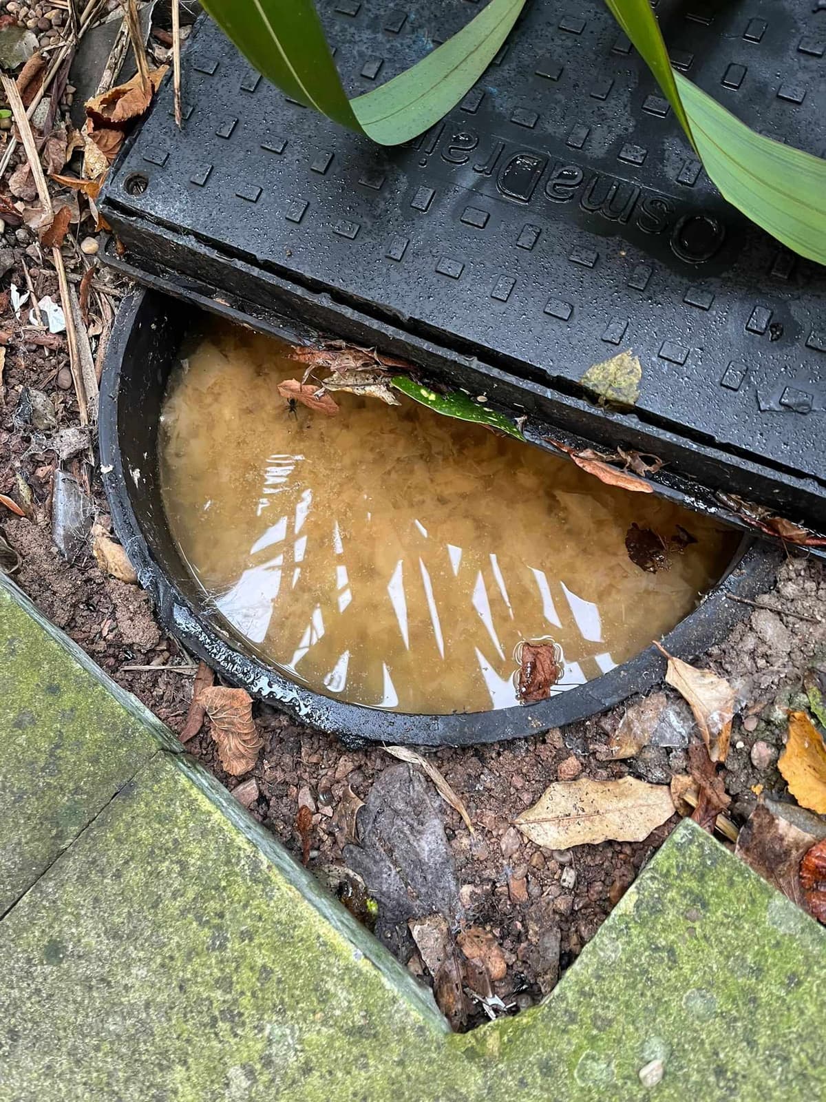 a photo of a man hole drain that has been blocked, photo taken in a emergency drain unblocking call