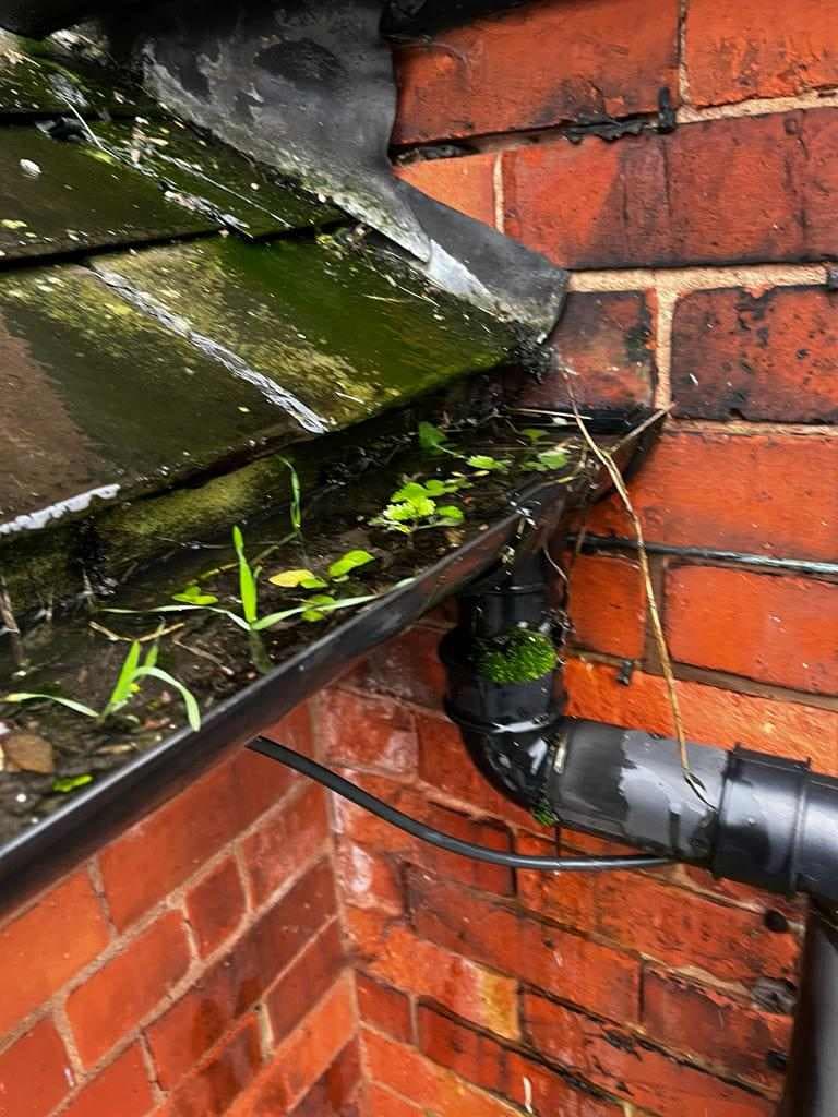 A cleared downpipe by Budget Drains Nottingham